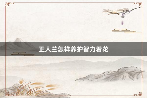 正人兰怎样养护智力着花