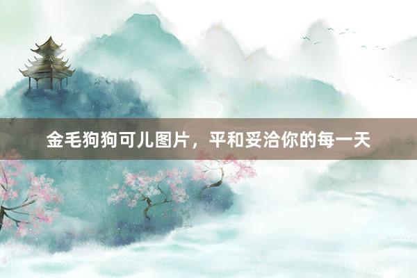 金毛狗狗可儿图片，平和妥洽你的每一天