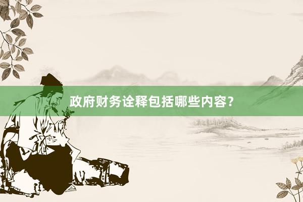 政府财务诠释包括哪些内容?