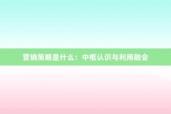 营销策略是什么：中枢认识与利用融会